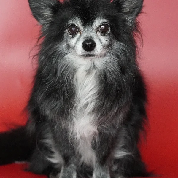 六合彩下注捕鱼游戏